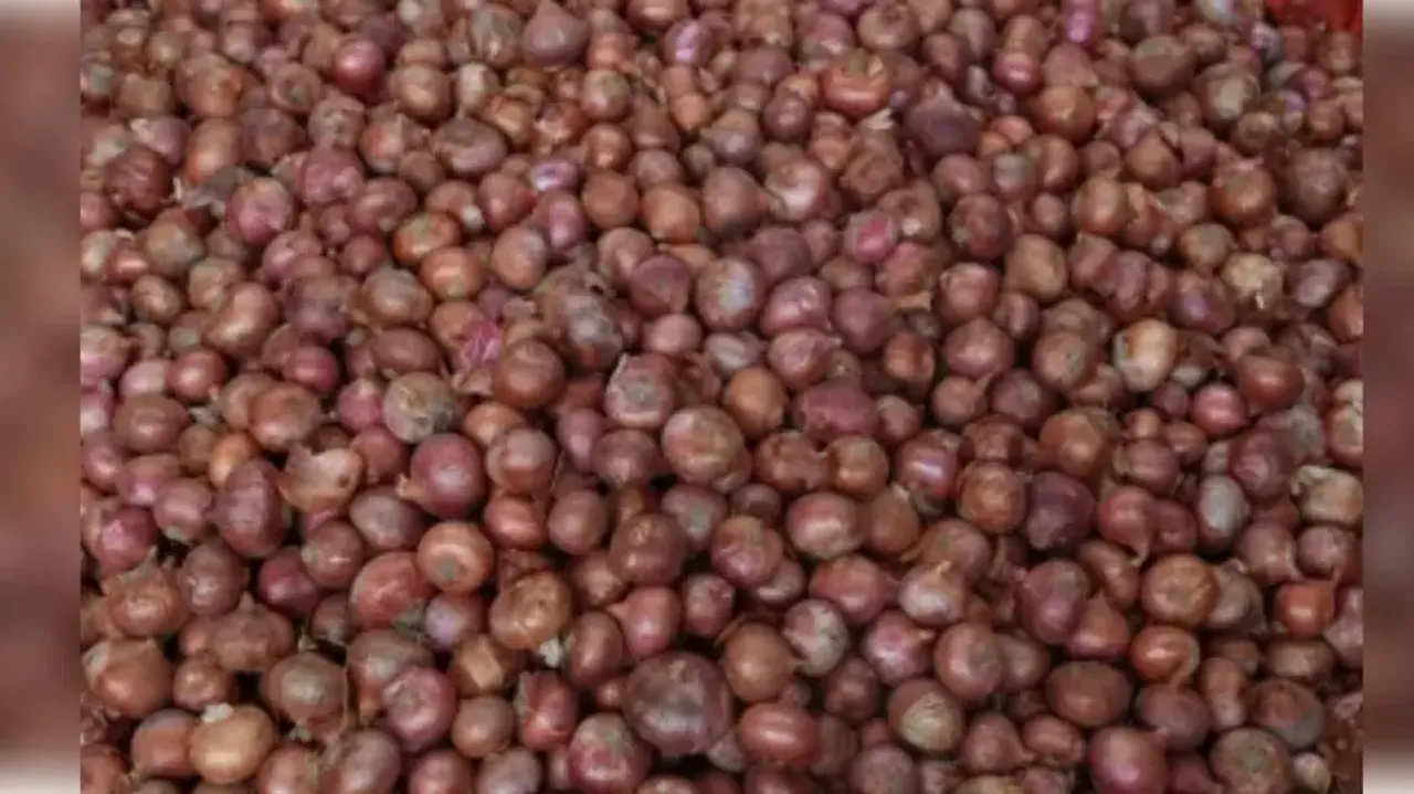 Govt allows additional 10,000 tonnes of onion exports to UAE
