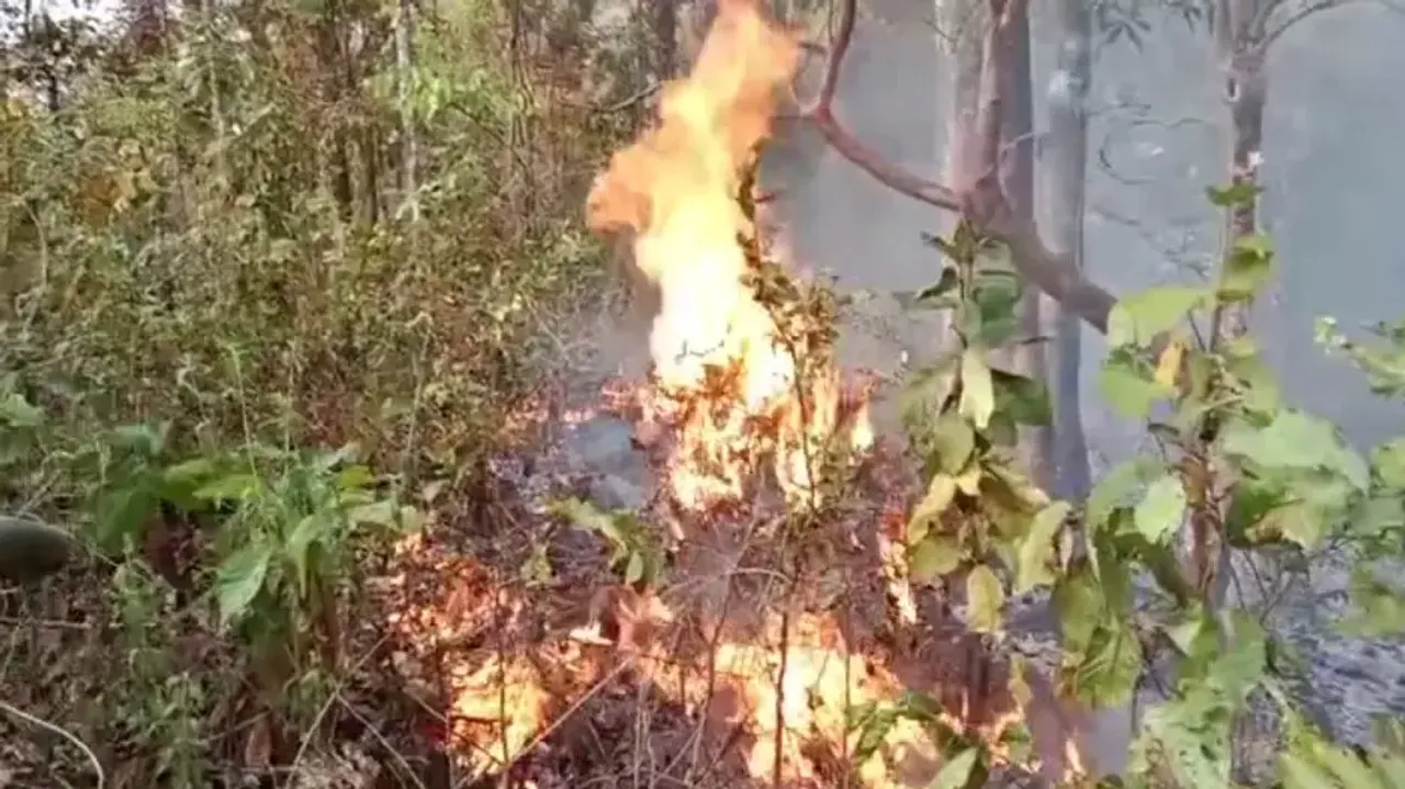 Forest Fire In Odisha