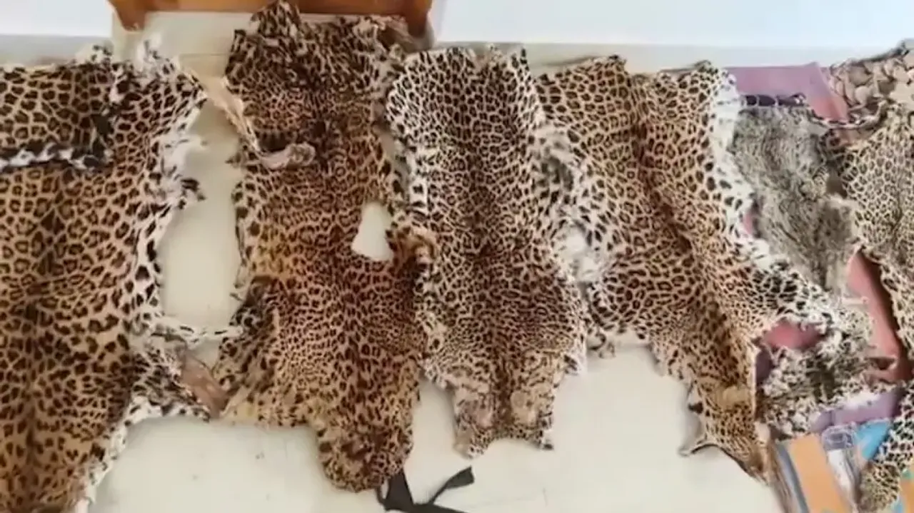 Wildlife smuggling kingpin identified, efforts on to nab him: Odisha Official 