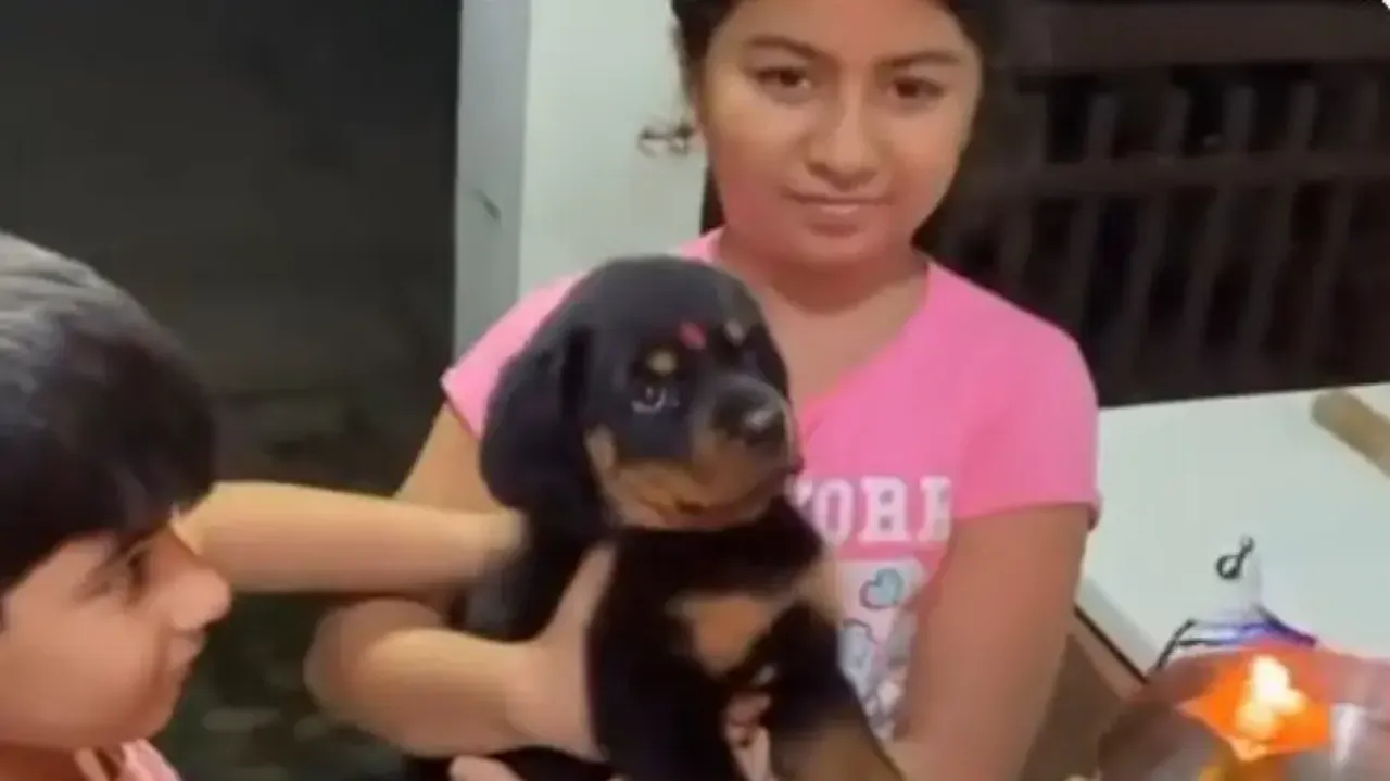 Indian family welcomes pet dog with Aarti