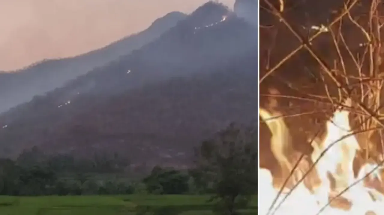 Highest number of forest fires raging in Odisha now 