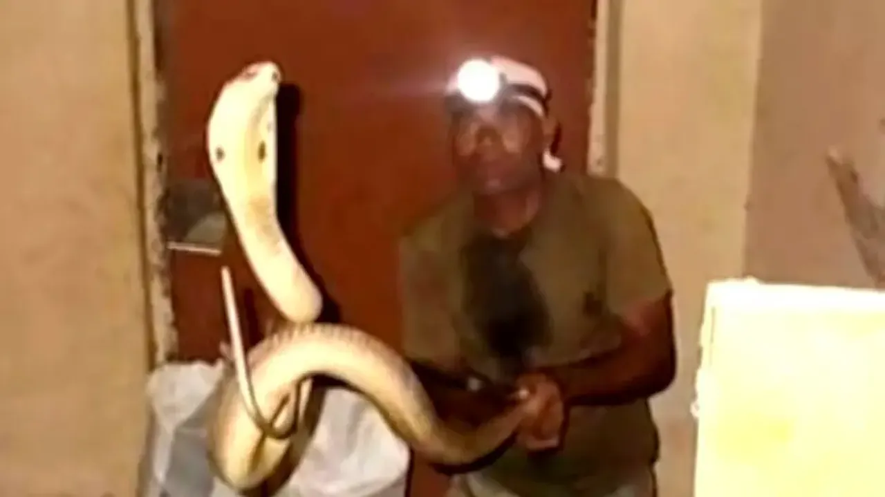 ED urged to apply PMLA against YouTubers posting wildlife videos online