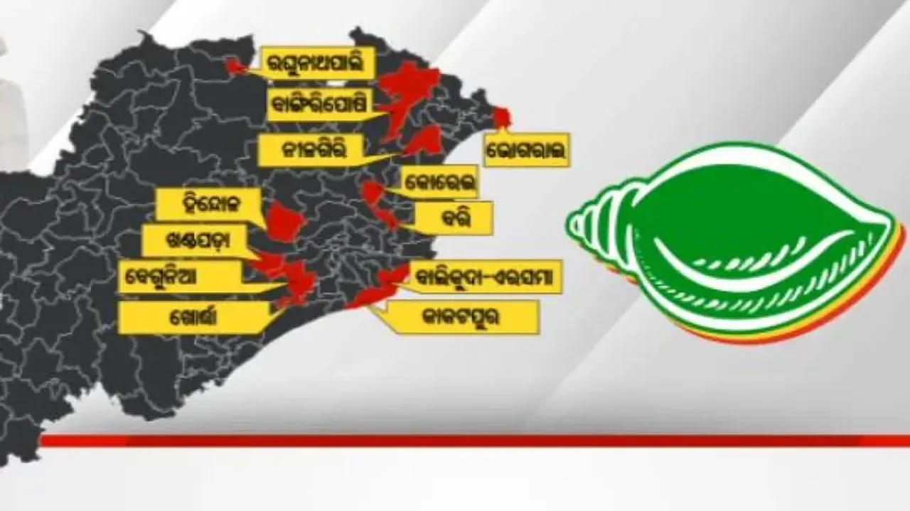Odisha Elections 2024: BJD still dragging its feet on candidate selection in 12 Assembly seats