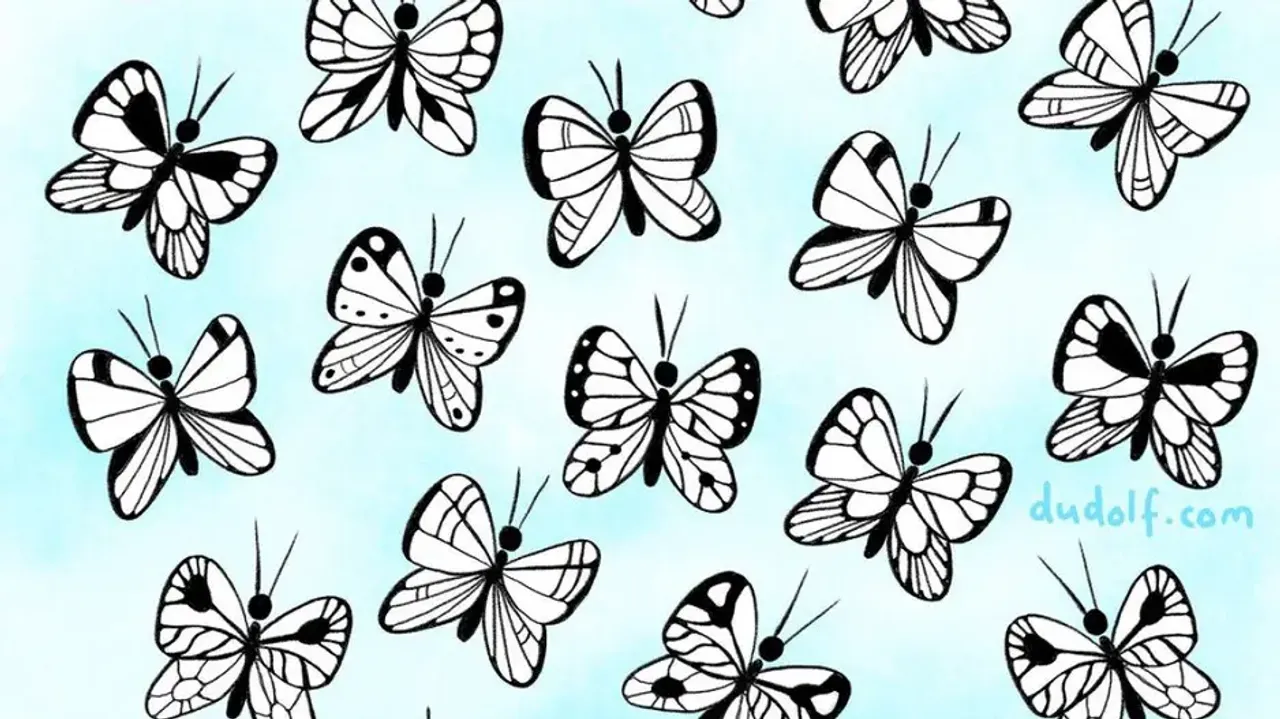 Spot the unique pattern butterfly in 30 seconds