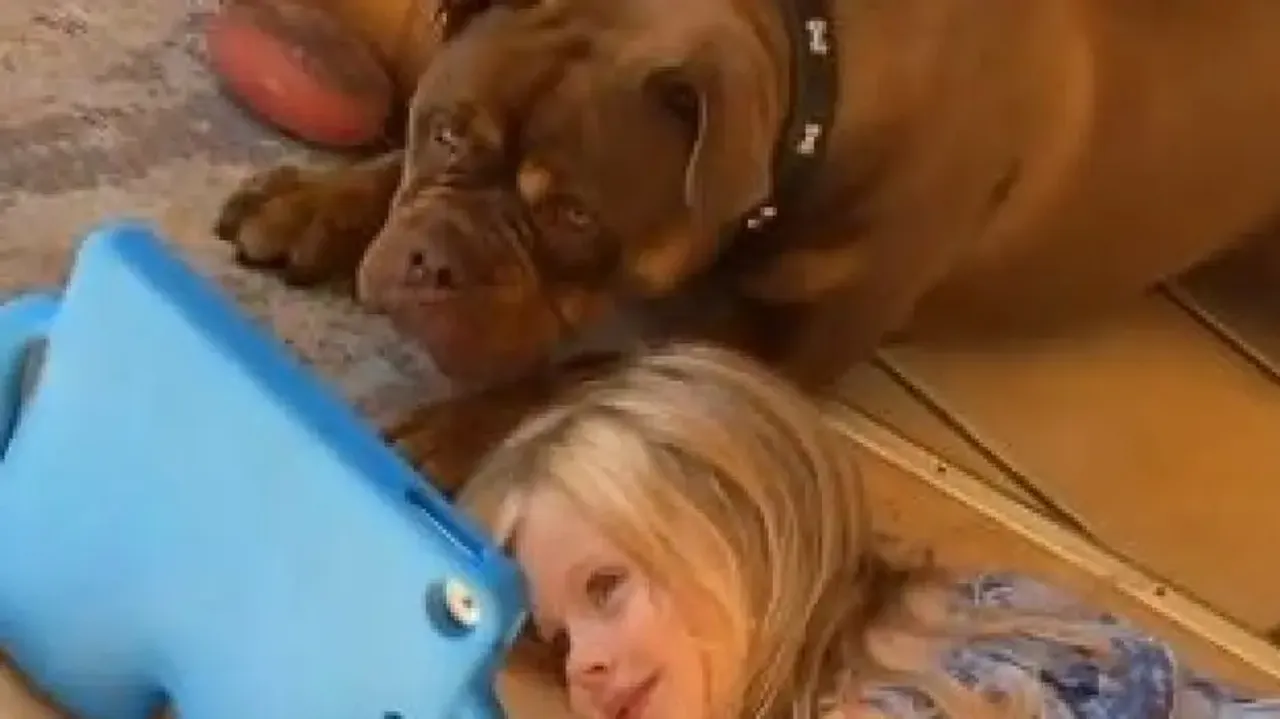 Parents' plan backfires as both daughter and puppy get hooked on phone