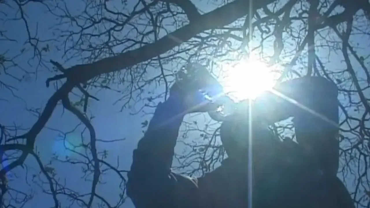 Elections 2024: Why climate change is not part of political discourse? 