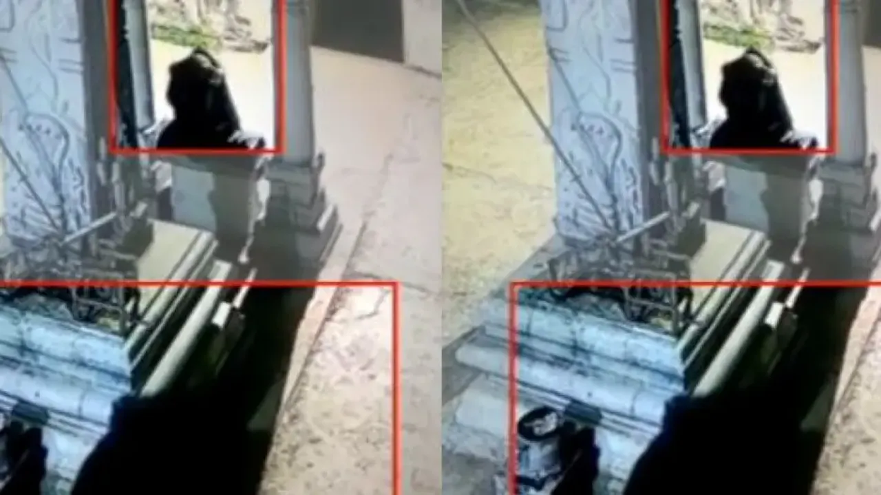 Bears enter temple and ring bell; leave netizens awestruck - Watch