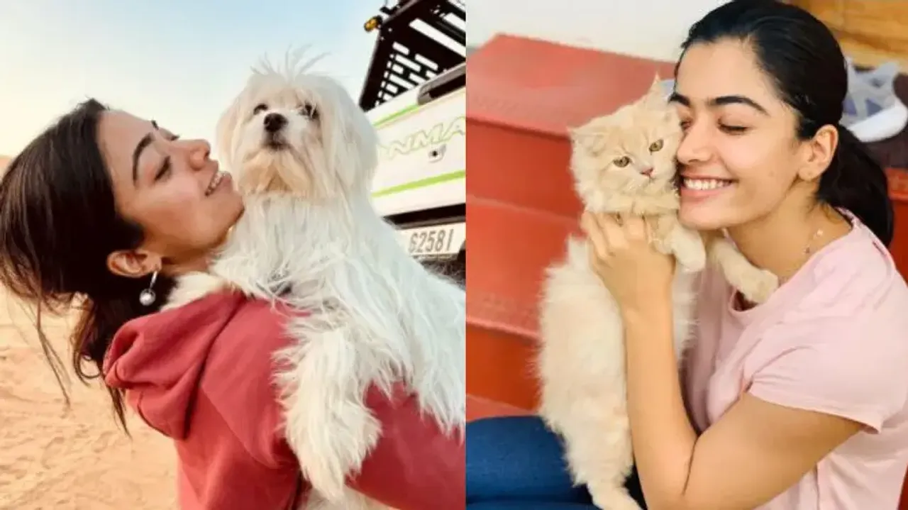 Rashmika Mandanna’s adorable post with her furry friends is the best thing on internet today 