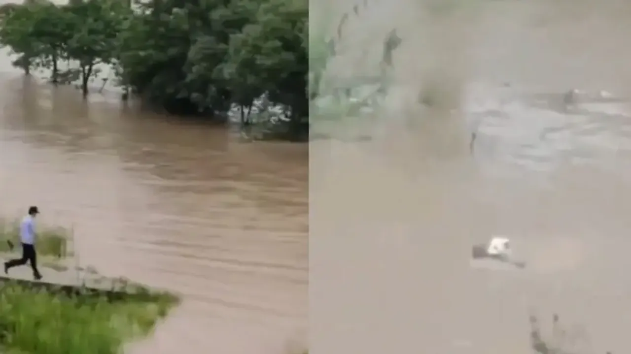 Mother's love! Dog leaps into floodwater to save its puppy from drowning; watch