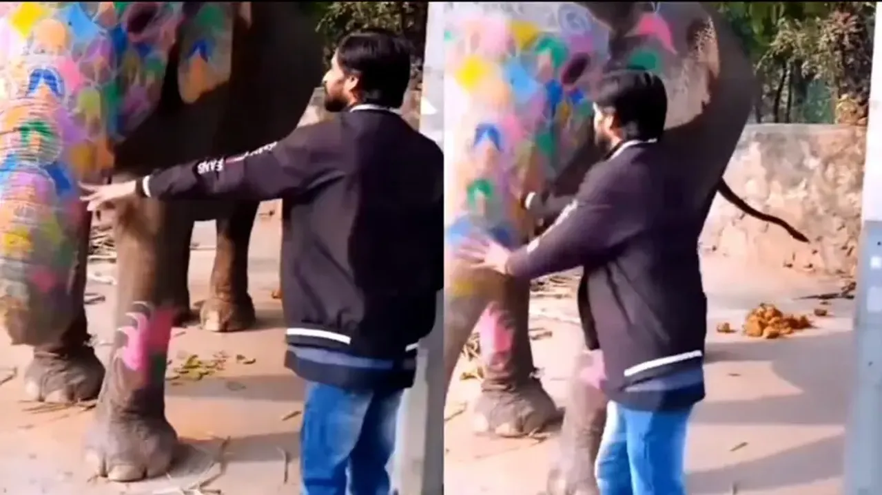 Youth feeds elephant for reels purpose, what jumbo did is shocking; watch