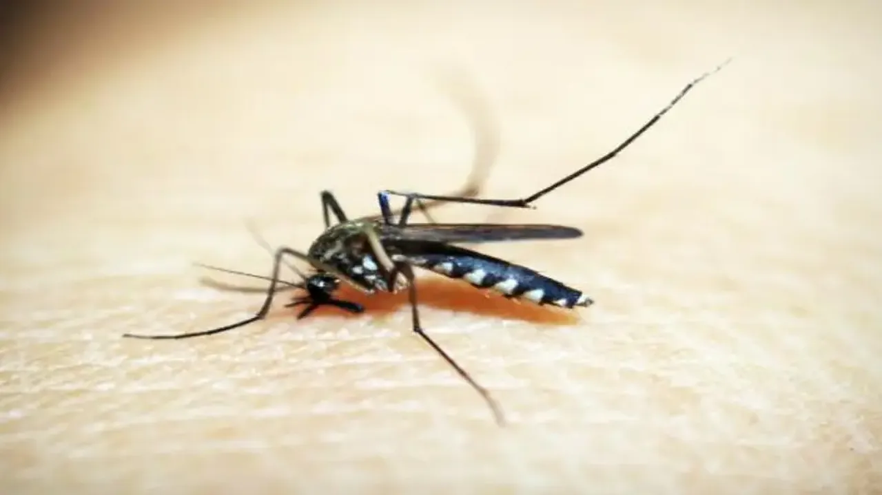 Dastak Abhyan by UP Govt