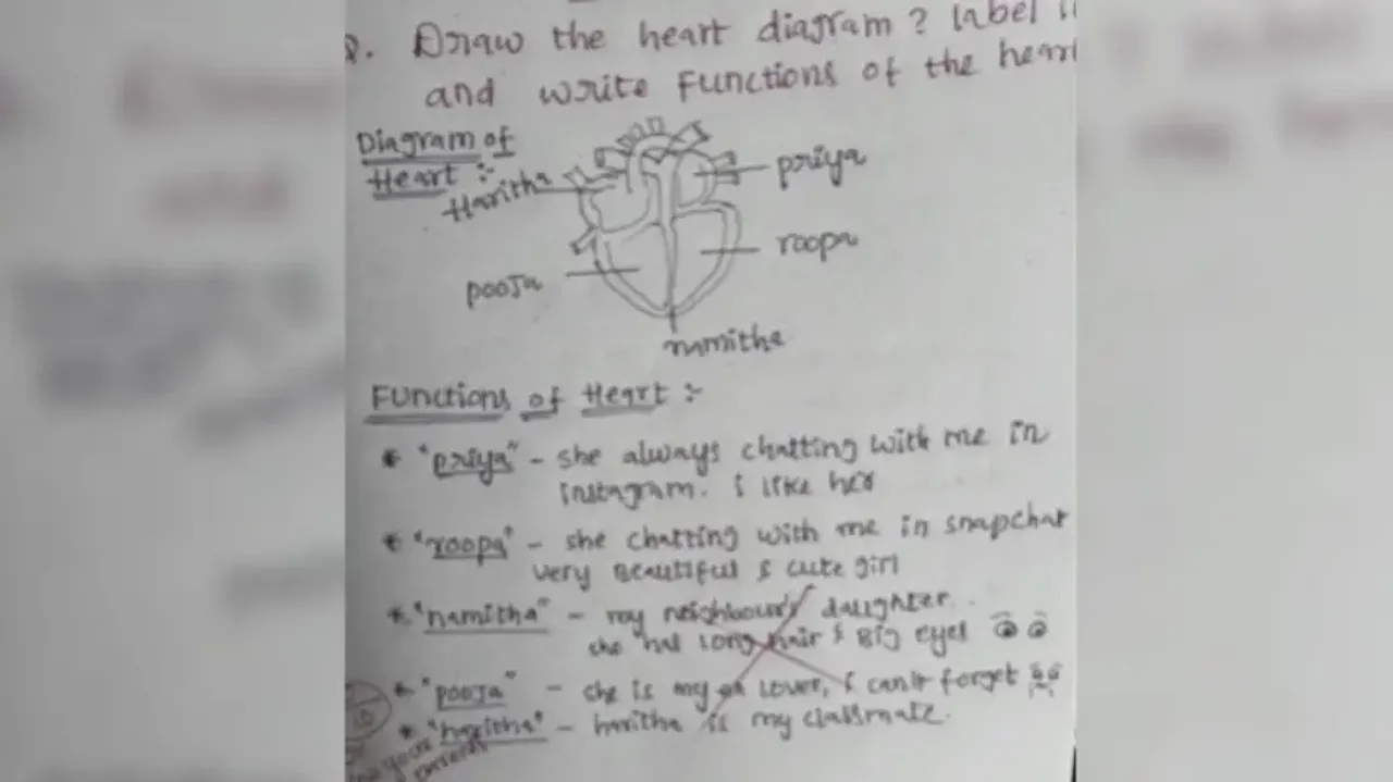 Student’s hilarious diagram