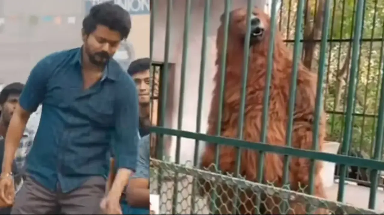 Huge beast' recreates Thalapathy Vijay's iconic hook step of 'Vaathi coming'! Watch