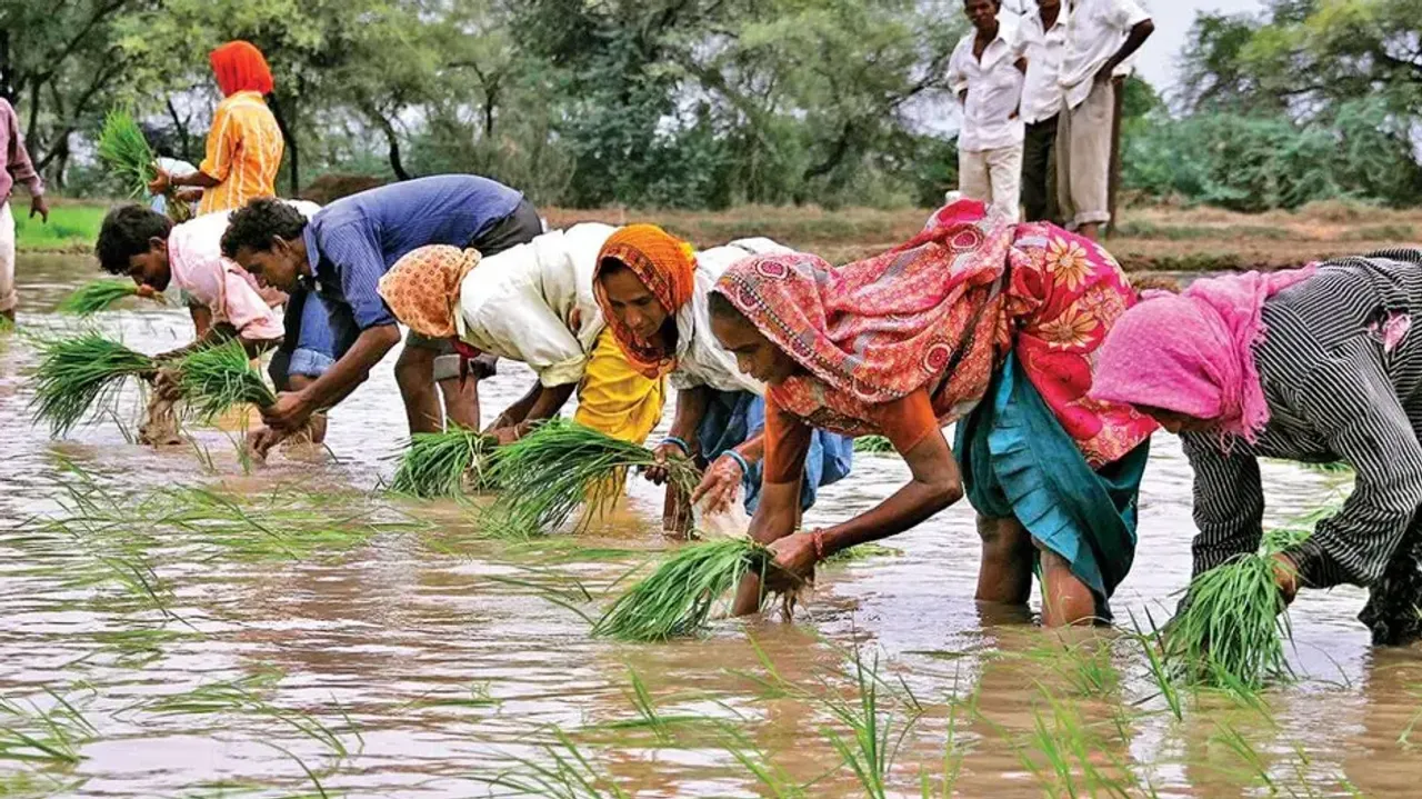 July begins with healthy rainfall, sowing status better than last year: Report......