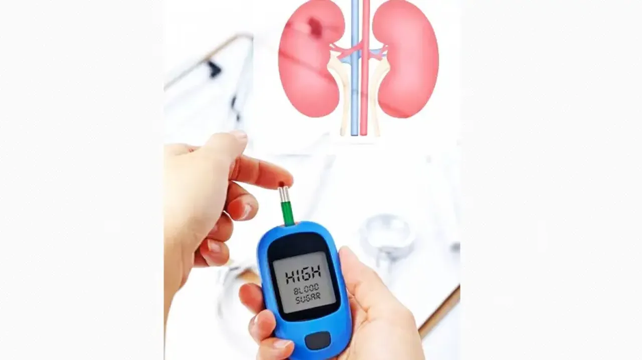 Kidneys and diabetes