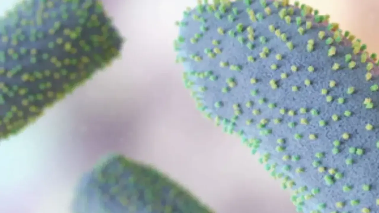 Four children die in Gujarat from suspected Chandipura virus infection