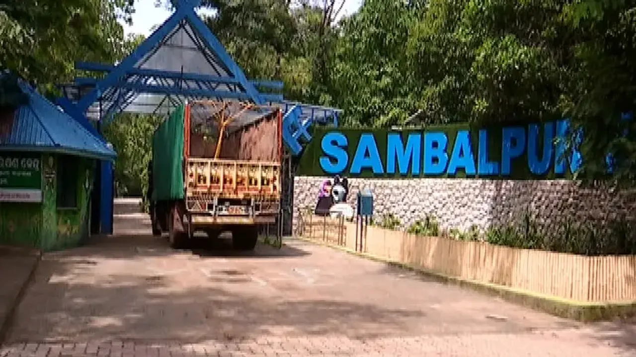 Process to relocate 115 spotted deer from Sambalpur Zoo to Debrigarh Sanctuary begins