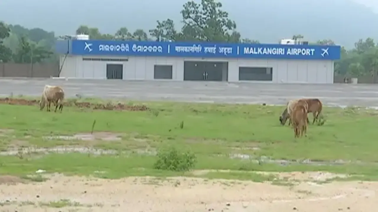 Cattle and dogs in Malkangiri Airport
