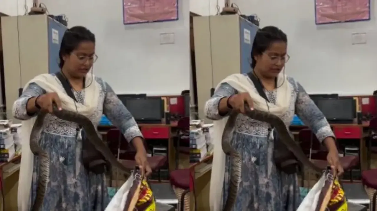 Girl catches snake with bare hands, video will send chills down your spine; watch