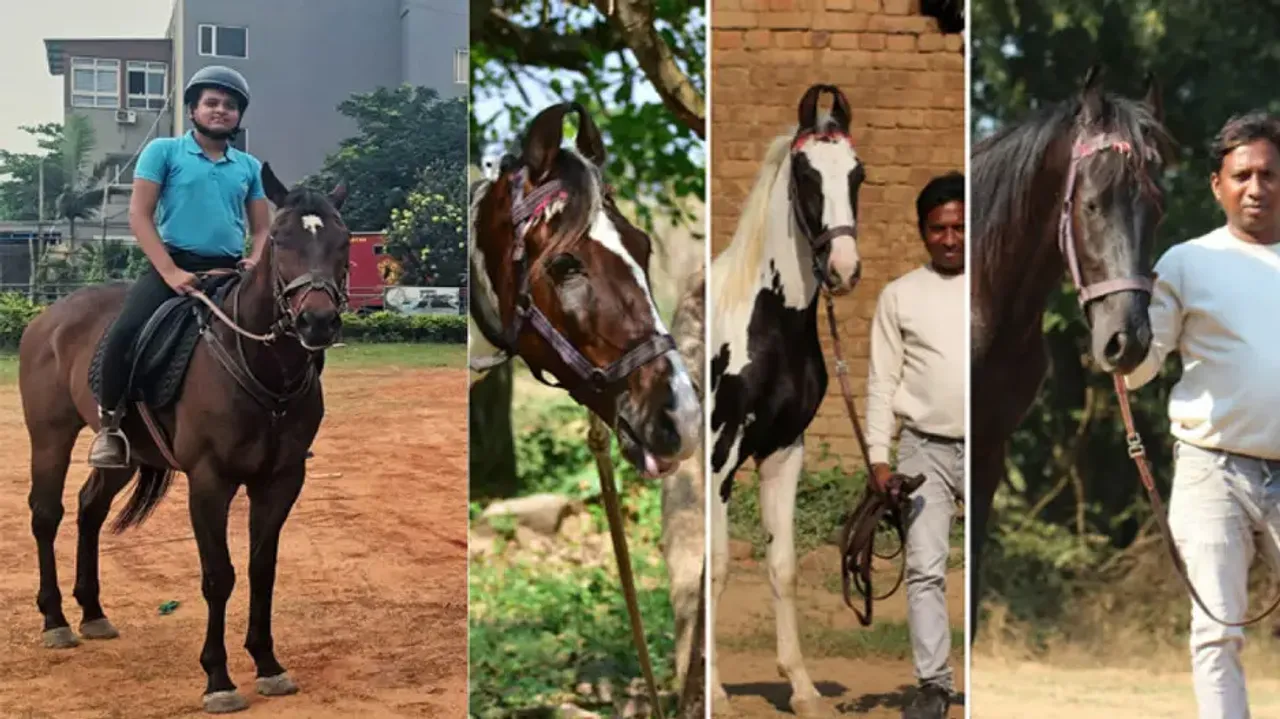From horse to dog, unconditional bond between pet parents and their companions