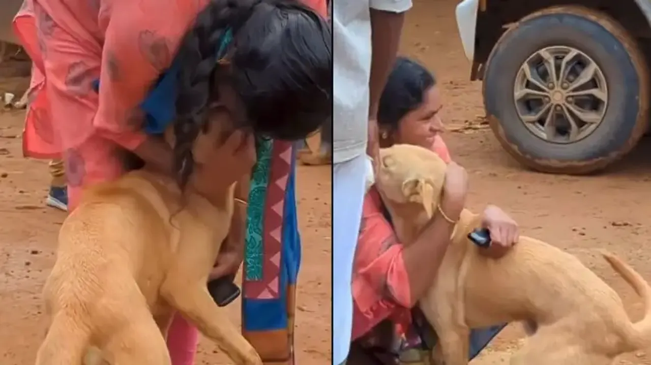 Wayanad tragedy: Pet dog reunites with owner after 6 days, emotional reunion will leave you teary-ey