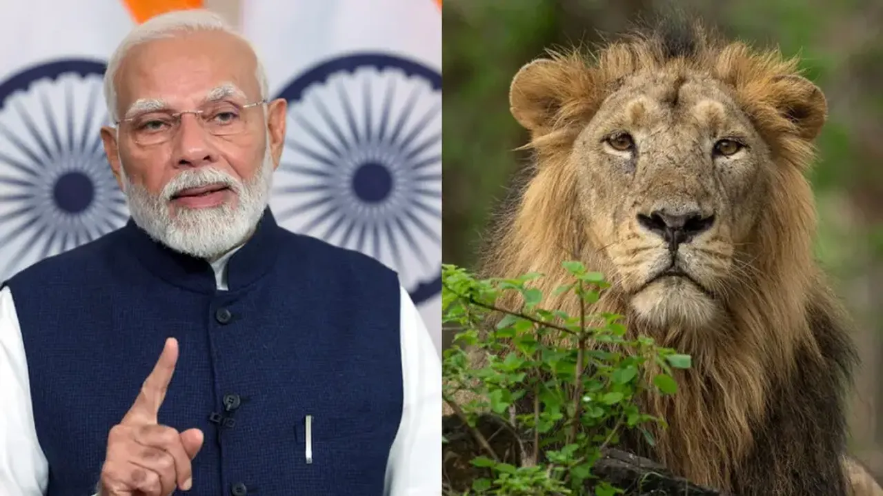PM Modi reiterates commitment to protect the big cat