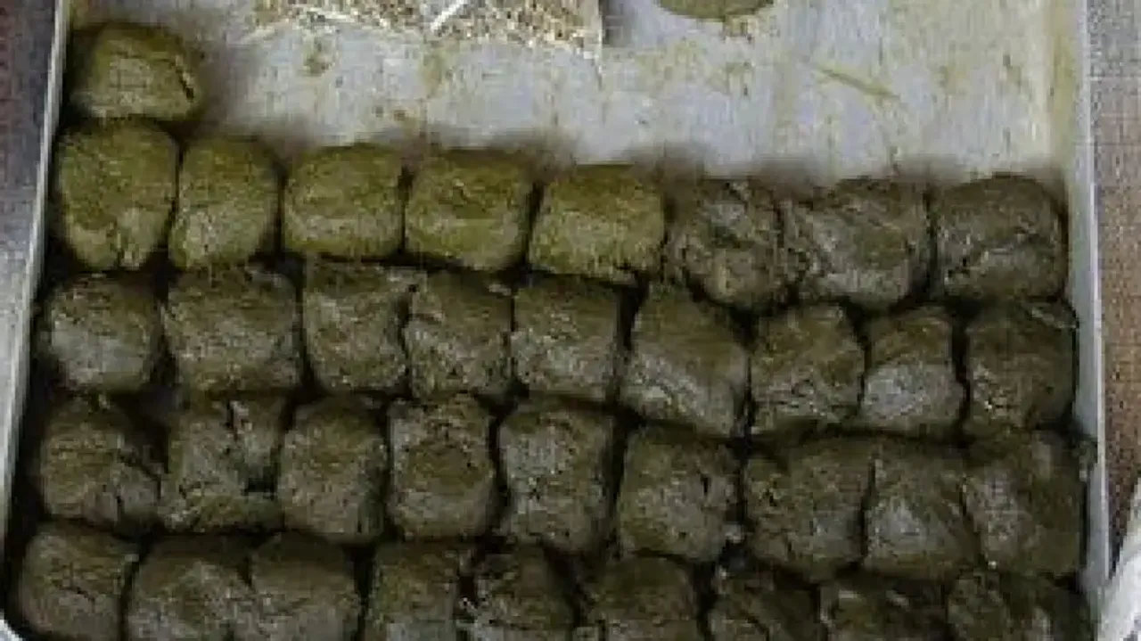 Bhang declared intoxicant by Odisha government