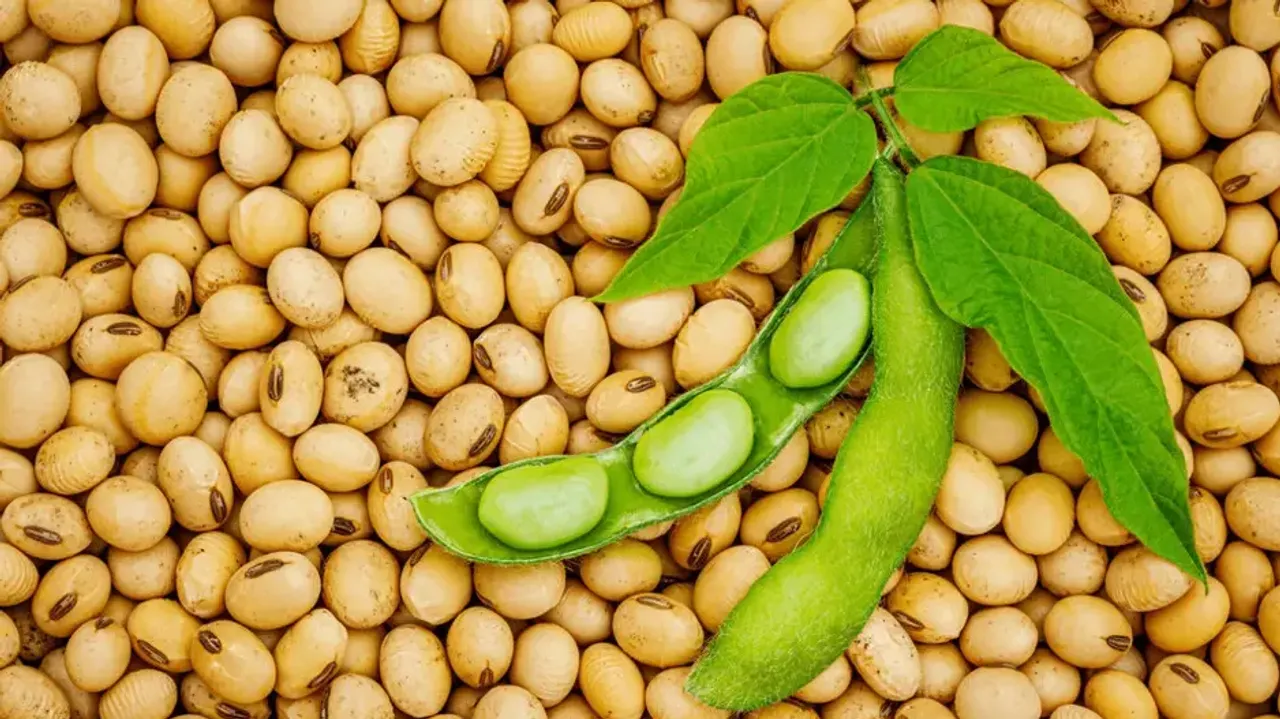 Centre directs insurance firm to pay Rs 225 cr to 2 lakh farmers for crop loss