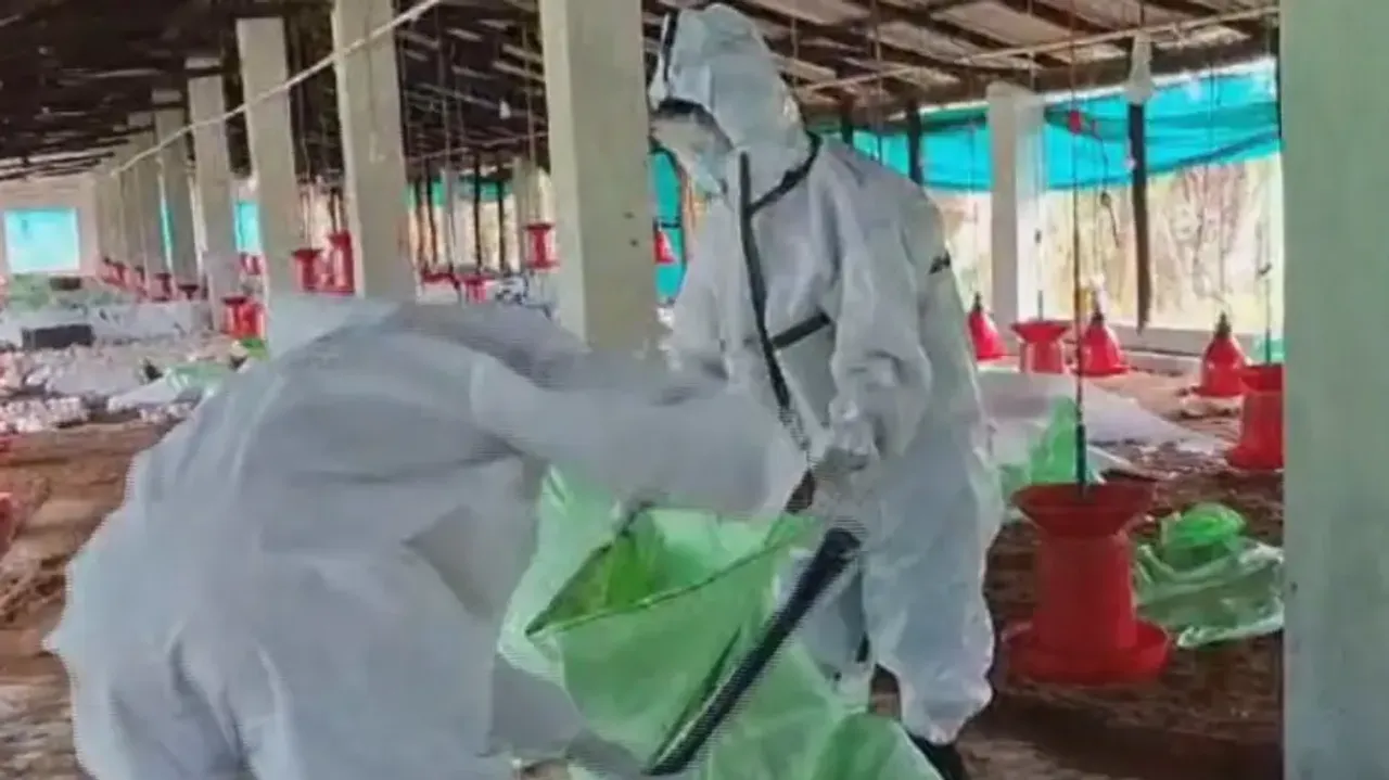 Bird flu scare in Odisha