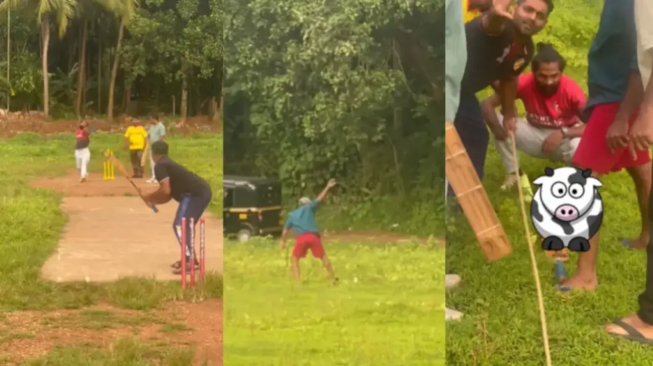 Gully cricket fielder’s catch on boundary will leave you ROFL - Watch 