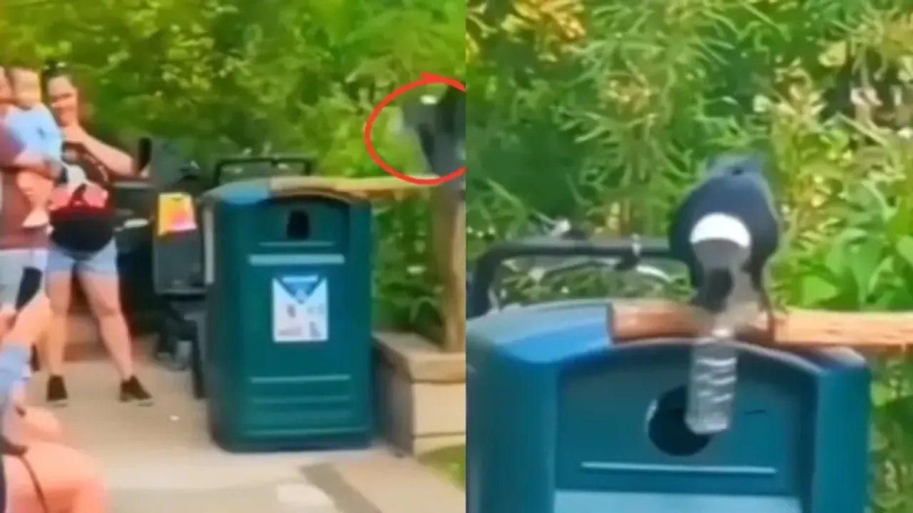 Viral video captures crow using trash can in park - Watch