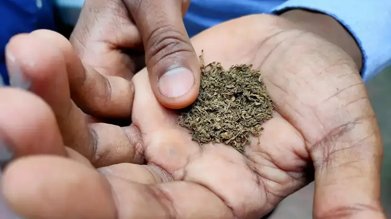 Education & Health Ministry ask states to effectively implement tobacco guidelines 