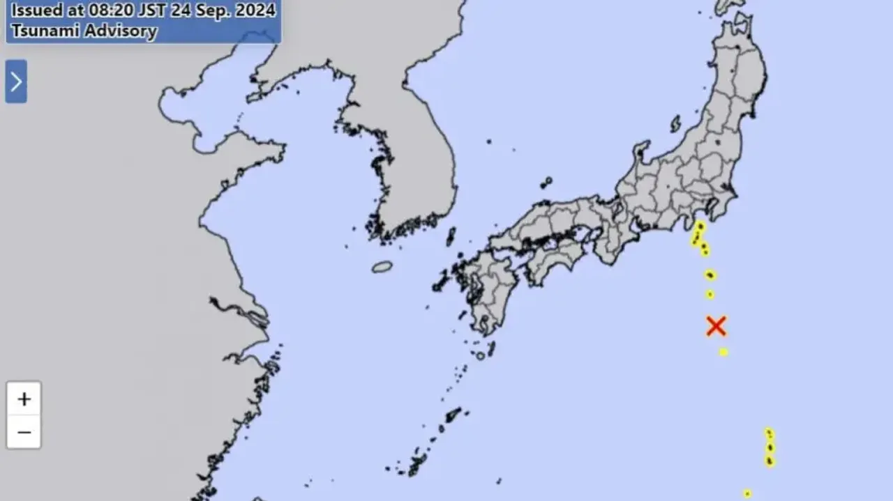 Tsunami hits Japan
