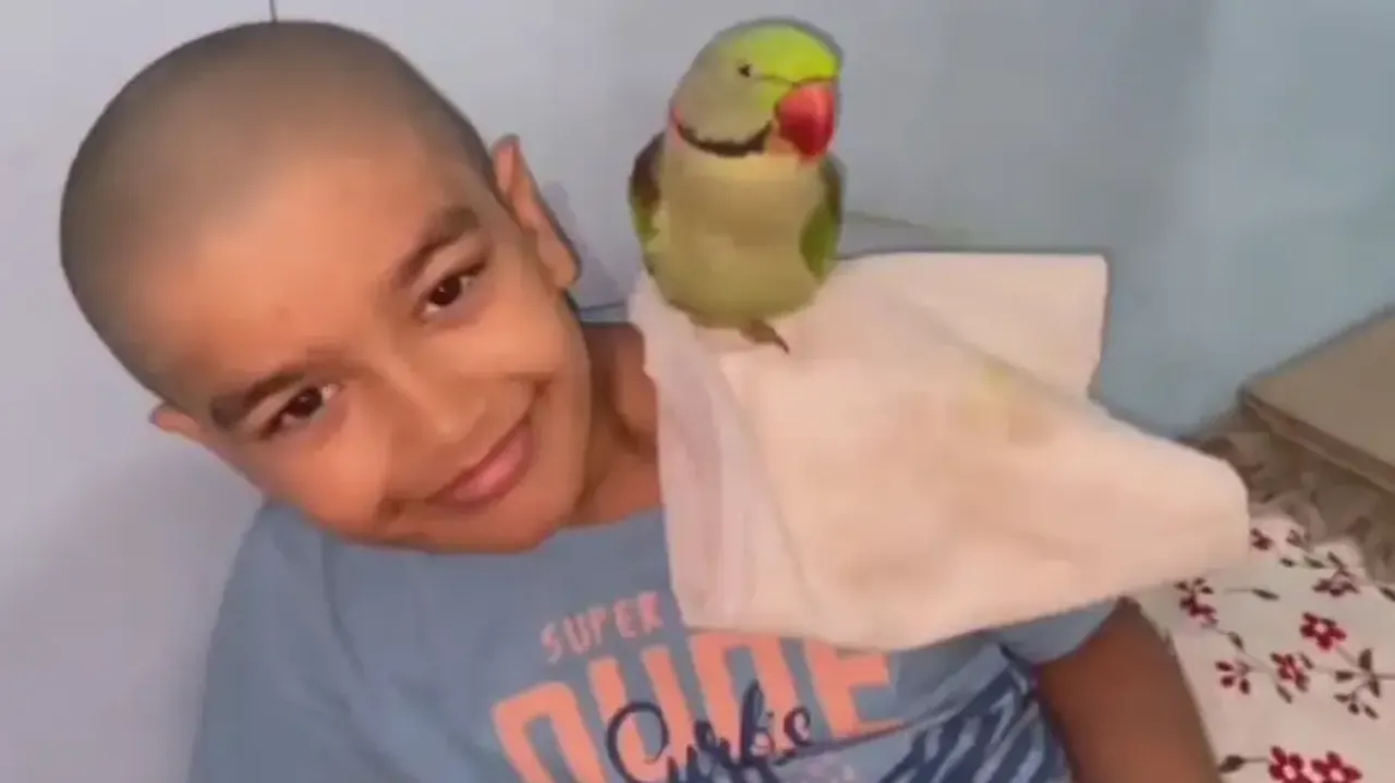 Family performs funeral rites of parrot in Sundargarh