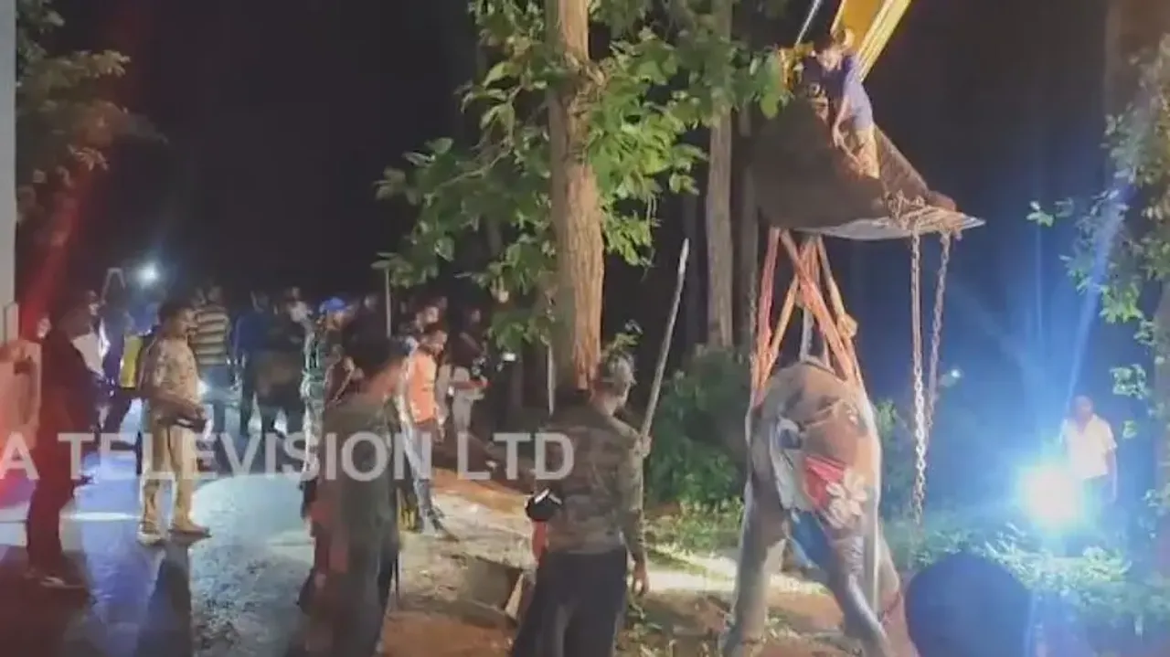 Odisha’s rogue tusker that killed 4 people and injured 3 finally tranquilised