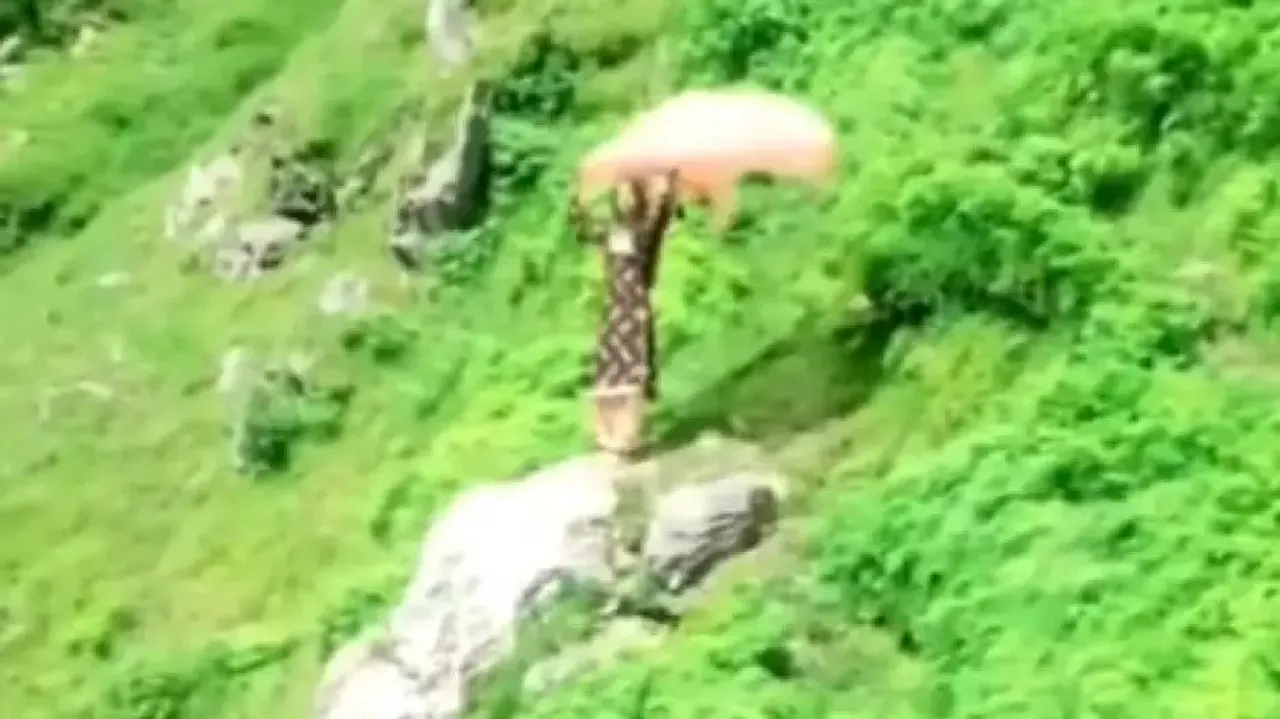 Girl rolls down steep hill while making Instagram reels