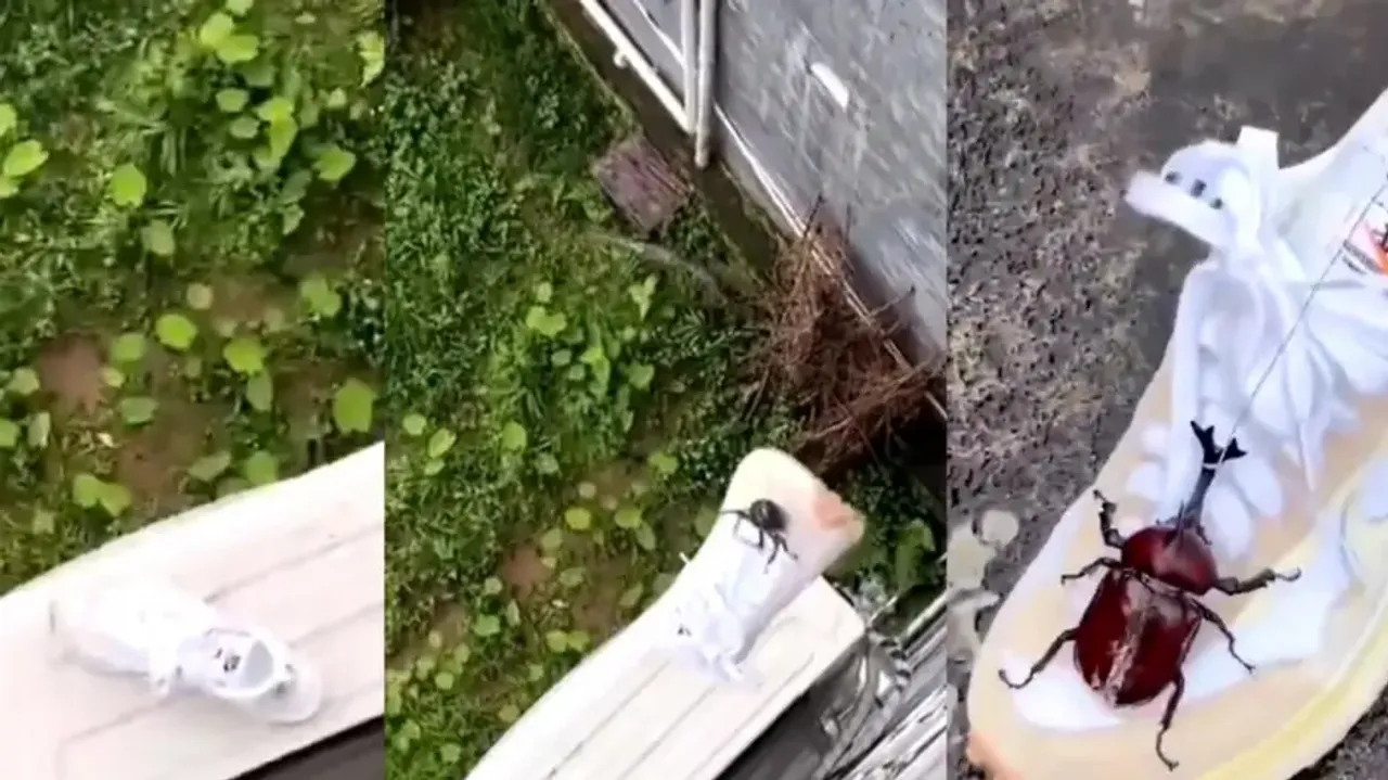 Bug or anchor! Youth's 'desi jugad' to get work done amazes internet, watch