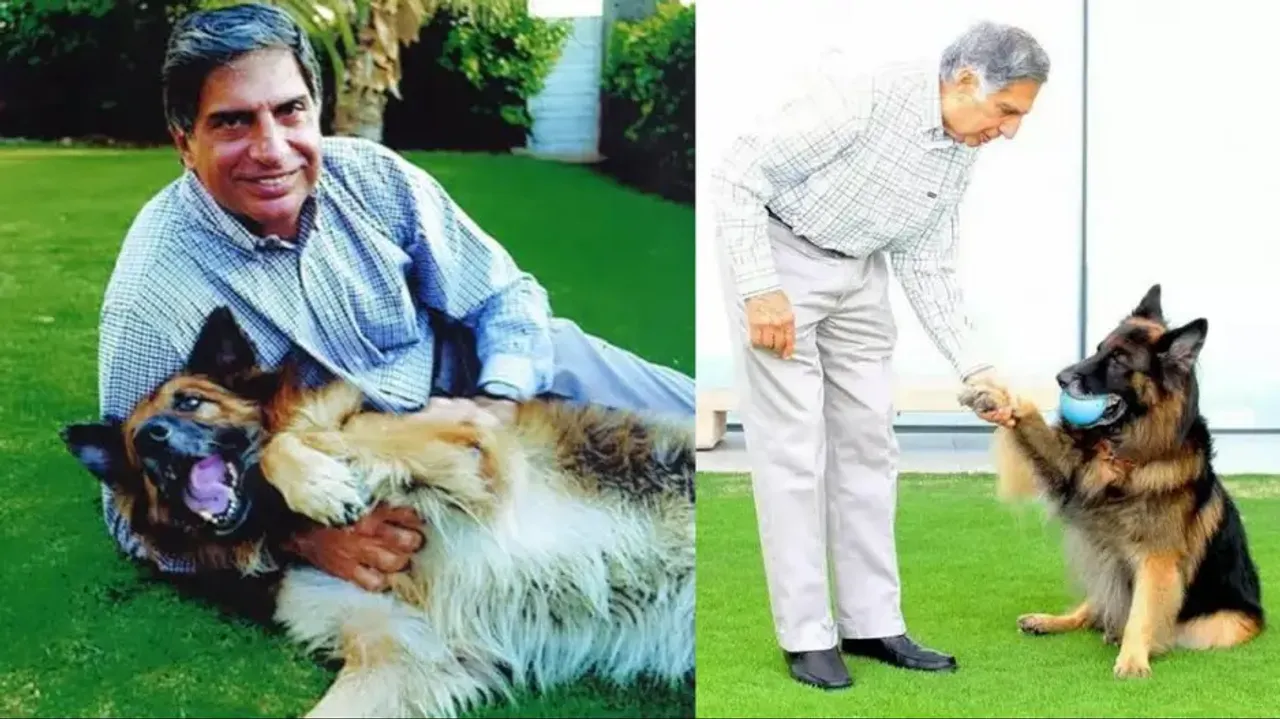 Remembering Ratan Tata: When the 'Business Titan' ditched meeting UK's King Charles for his pet