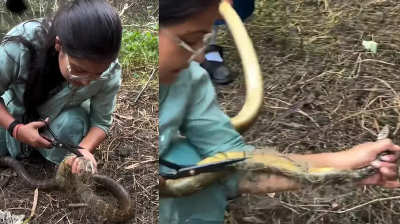 Brave woman rescues huge snake stuck in a net with bare hands from pond, watch