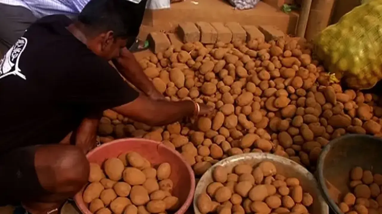 People hoard potatoes amid cyclone Dana