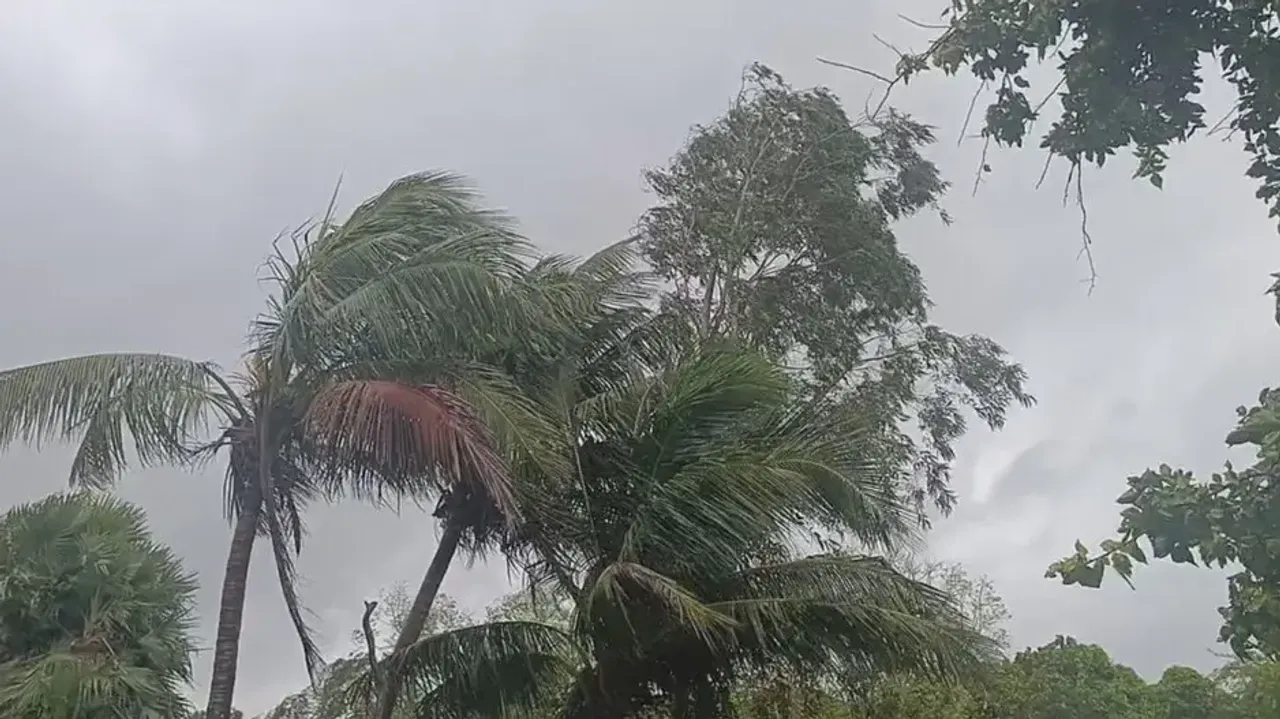 Cyclone Dana: 1,600 babies born to evacuated women in Odisha; 5.84 lakh people evacuated