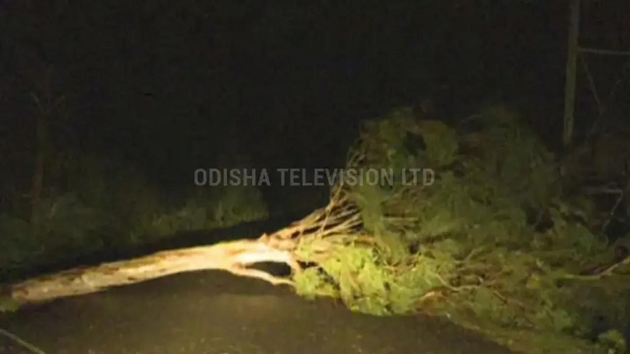 Severe cyclone Dana begins landfall on Odisha coast: IMD