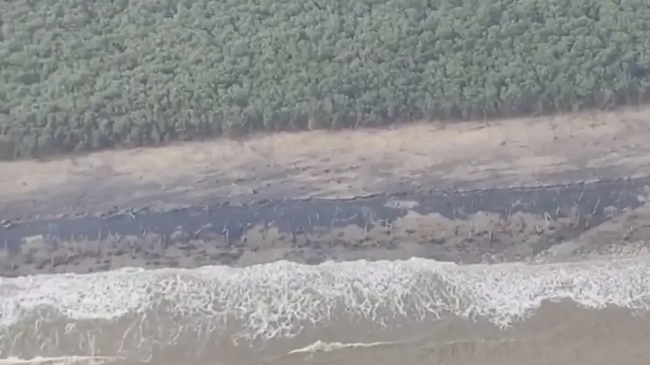 Mangrove forests served as a natural barrier against Cyclone Dana