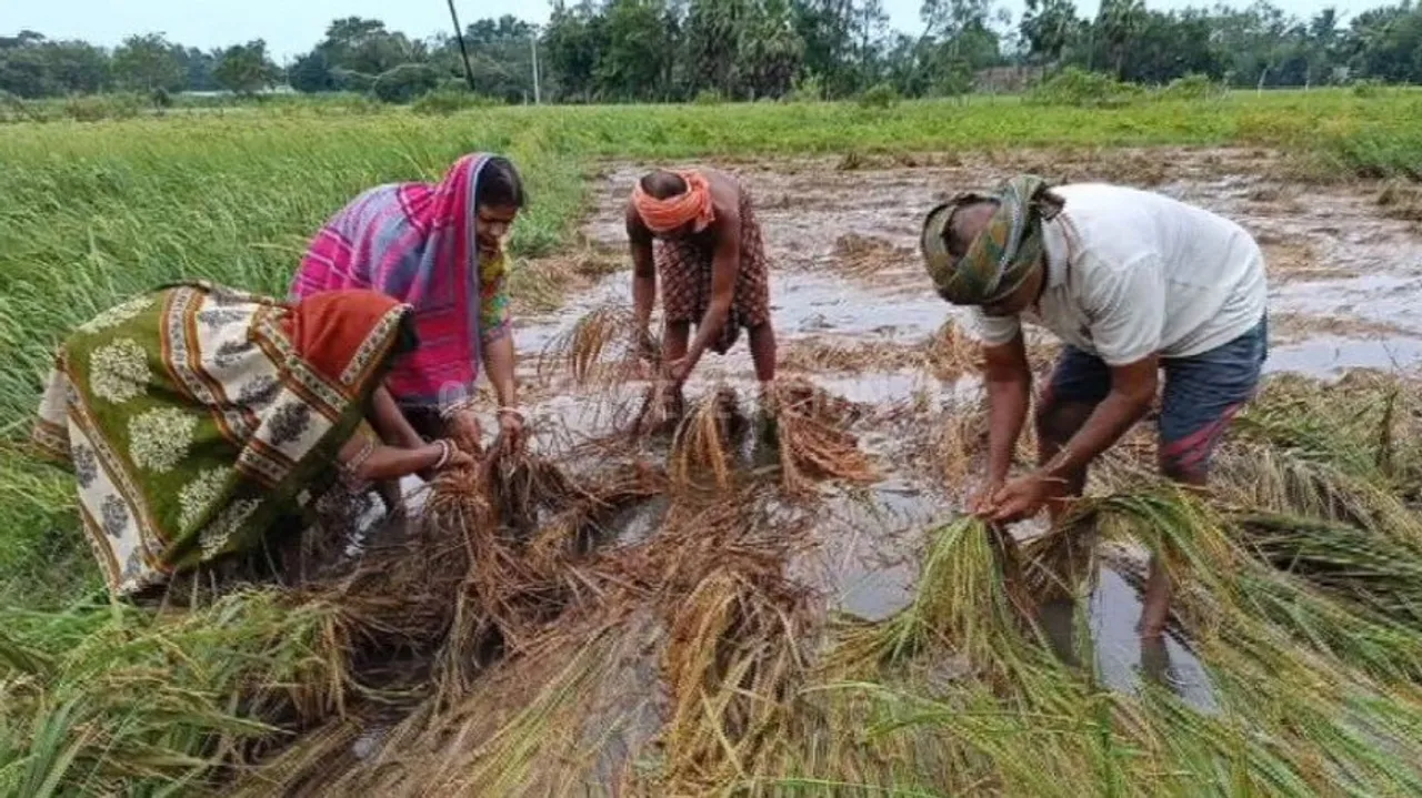 Odisha farmers