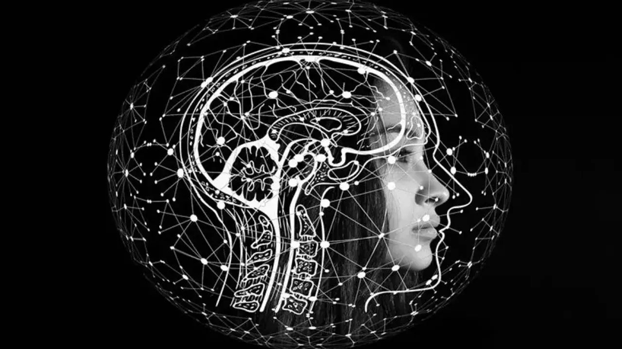 Brain 
