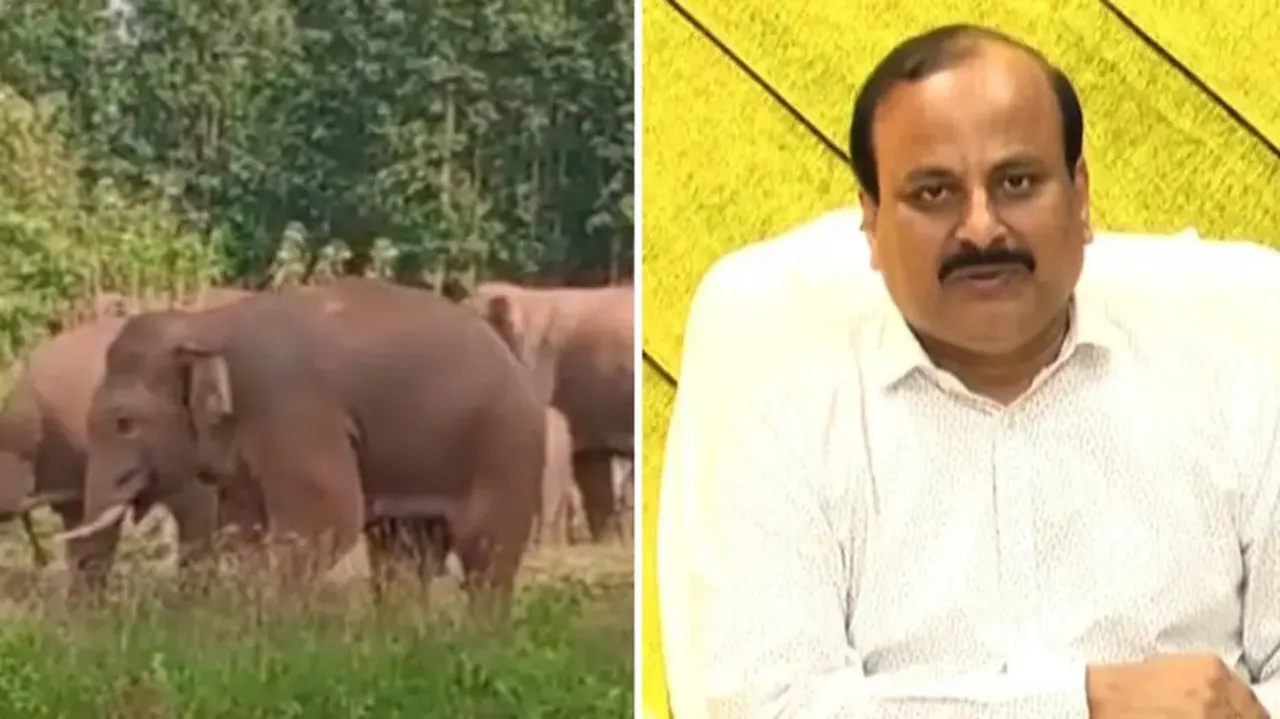 Odisha elephants facing shortage of habitat space: PCCF Wildlife