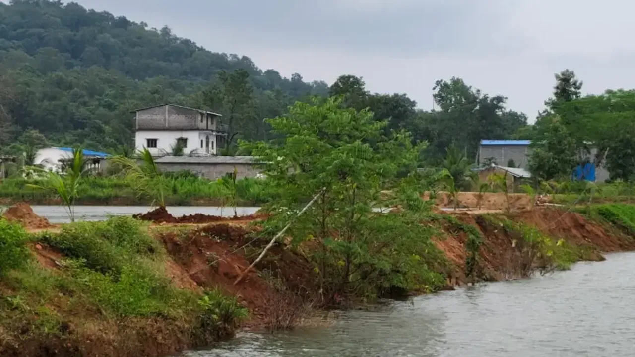 Odisha Land Jihad: PCCF seeks report from DFO after NGT notice on 100-acre forest land encroachment