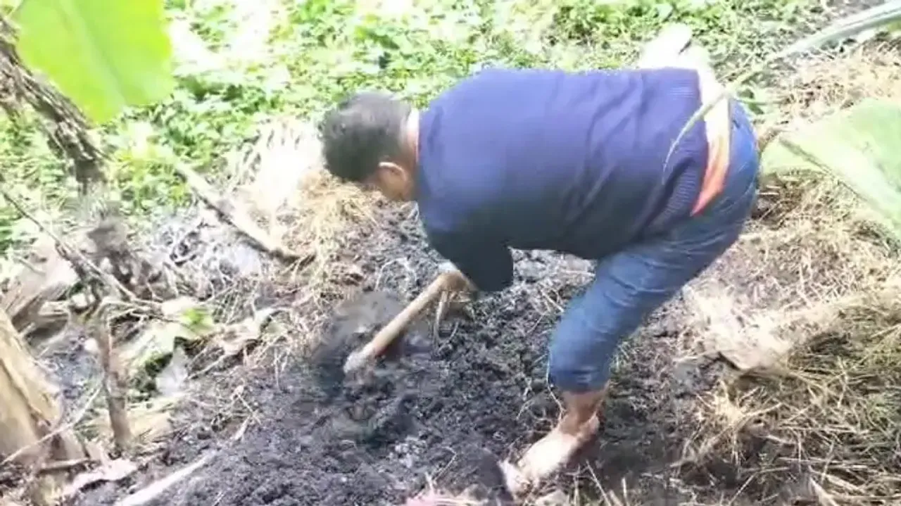 Cash hidden under soil recovered in Odisha