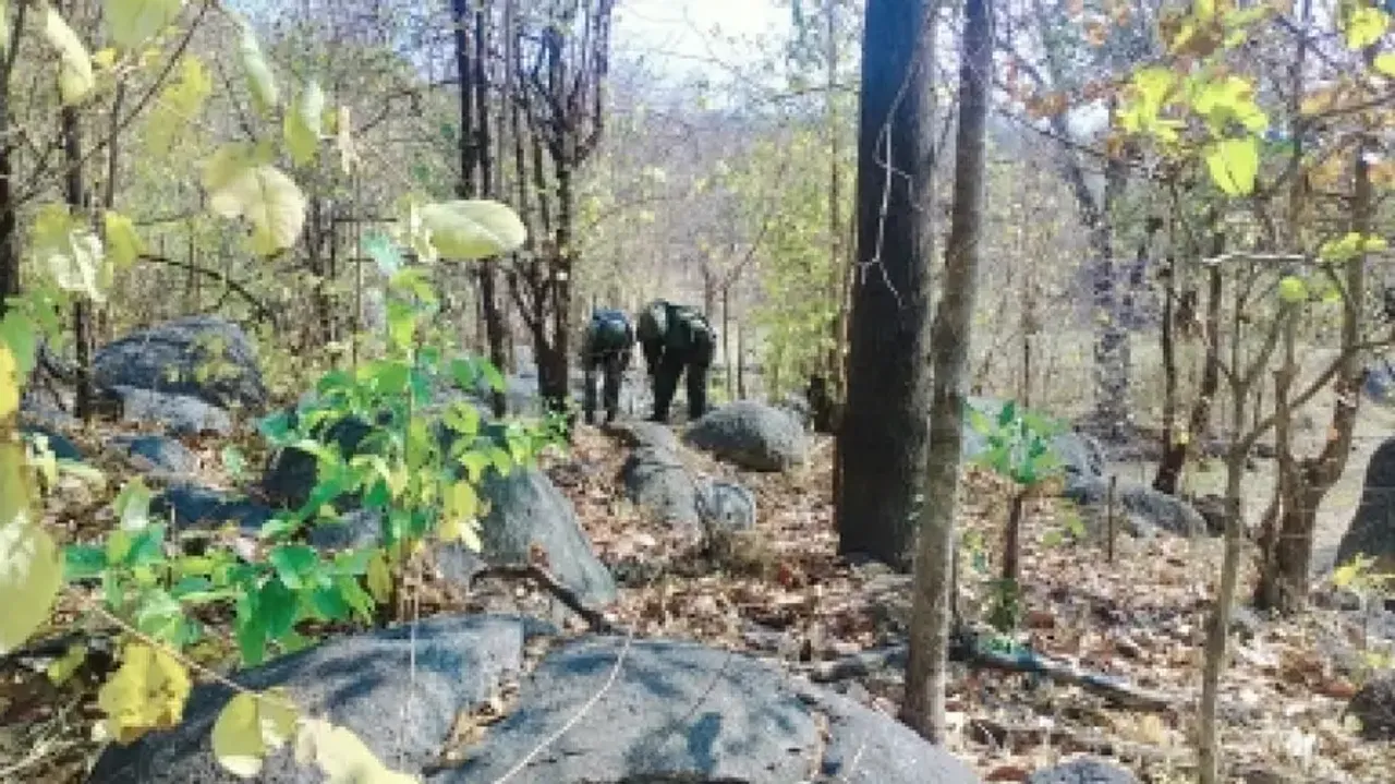 10 Maoists killed by security forces