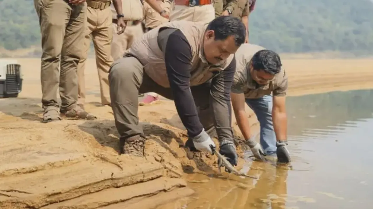 12 Gharial hatchlings re-released in Odisha’s Satkosia gorge